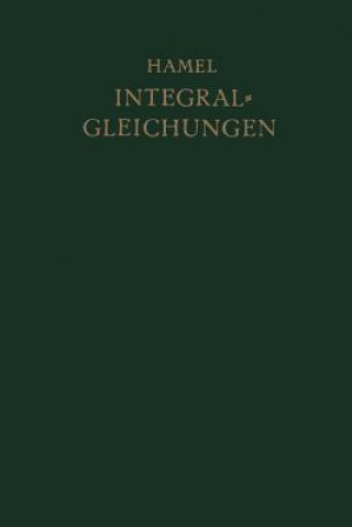 Könyv Integralgleichungen Georg Hamel