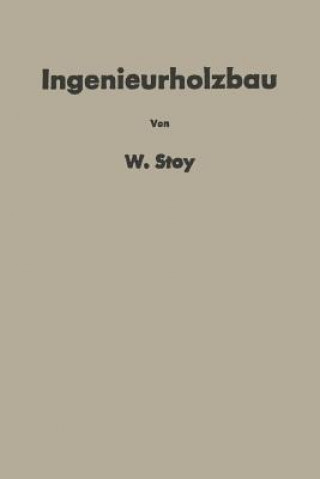 Kniha Ingenieurholzbau NA Stoy