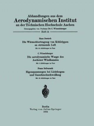 Kniha Abhandlungen Aus Dem Aerodynamischen Institut an Der Technischen Hochschule Aachen NA Doetsch