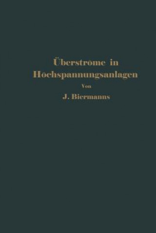 Kniha berstr me in Hochspannungsanlagen J. Biermanns