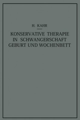 Kniha Konservative Therapie in Schwangerschaft, Geburt Und Wochenbett Heinrich Kahr
