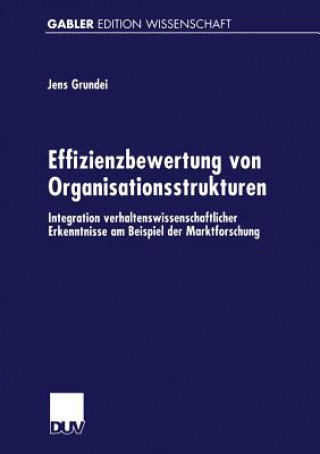 Kniha Effizienzbewertung Von Organisationsstrukturen Jens Grundei