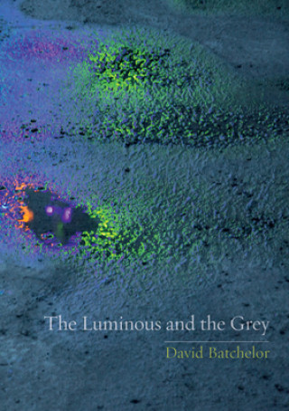Книга Luminous and the Grey David Batchelor
