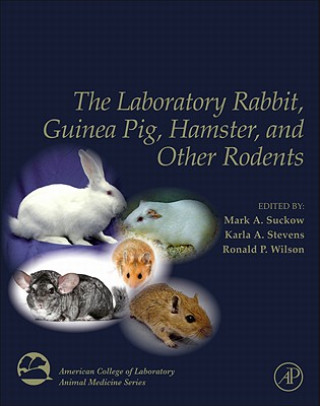Kniha Laboratory Rabbit, Guinea Pig, Hamster, and Other Rodents Mark A Suckow