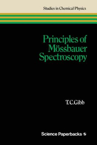 Kniha Principles of Moessbauer Spectroscopy Terence Gibb