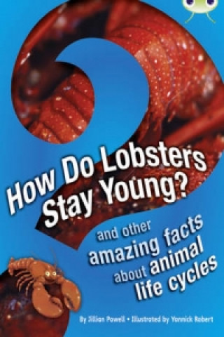 Carte Bug Club Independent Non Fiction Year 3 Brown A How Do Lobsters Stay Young? Jillian Powell