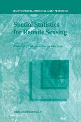 Kniha Spatial Statistics for Remote Sensing A. Stein
