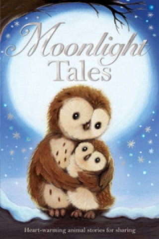 Kniha Moonlight Tales Various Authors