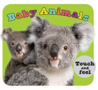 Книга Baby Animals Roger Priddy