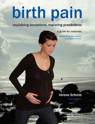 Книга Birth Pain: Explaining Sensations, Exploring Possibilities Verena Schmid