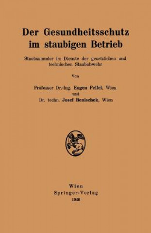Kniha Der Gesundheitsschutz Im Staubigen Betrieb Eugen Feifel