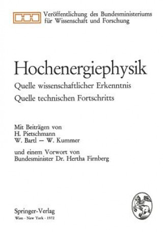 Könyv Hochenergiephysik Herbert Pietschmann