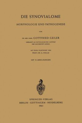 Knjiga Die Synovialome Gottfried Geiler