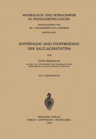 Könyv Entstehung Und Stoffbestand Der Salzlagerstatten Otto Braitsch