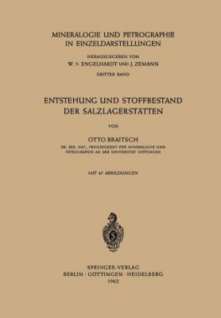 Knjiga Entstehung Und Stoffbestand Der Salzlagerstatten Otto Braitsch