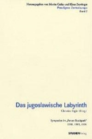 Carte Das jugoslawische Labyrinth Christine Rigler-Grond