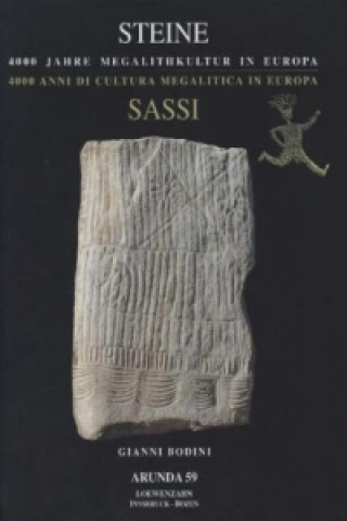 Libro Steine/Sassi Gianni Bodini