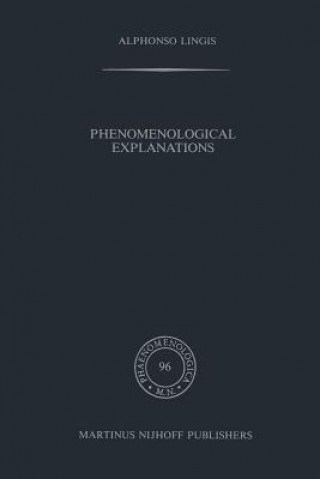 Kniha Phenomenological Explanations A. Lingis