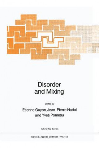 Könyv Disorder and Mixing E. Guyon