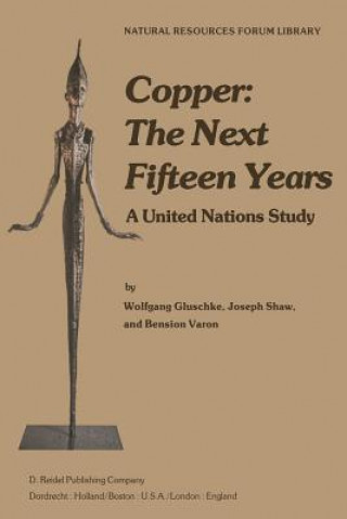 Książka Copper: The Next Fifteen Years W. Gluschke