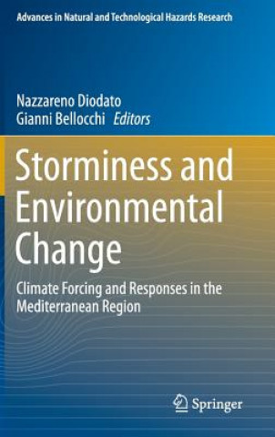 Könyv Storminess and Environmental Change Nazzareno Diodato