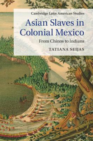 Kniha Asian Slaves in Colonial Mexico Tatiana Seijas