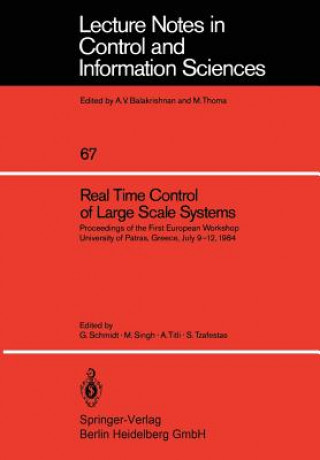 Carte Real Time Control of Large Scale Systems G. Schmidt