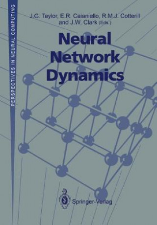 Carte Neural Network Dynamics J.G. Taylor