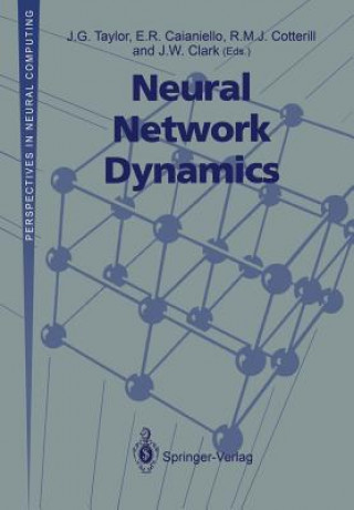 Kniha Neural Network Dynamics J.G. Taylor