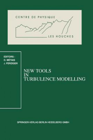 Kniha New Tools in Turbulence Modelling Olivier Metais