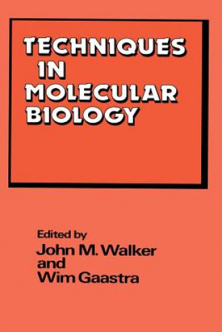 Könyv Techniques in Molecular Biology J.M. Walker