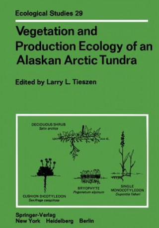 Kniha Vegetation and Production Ecology of an Alaskan Arctic Tundra Larry L. Tieszen