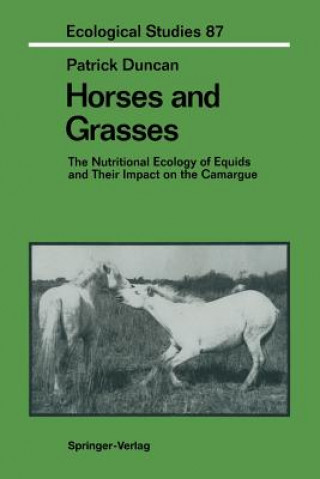 Книга Horses and Grasses Patrick Duncan