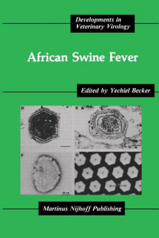 Carte African Swine Fever Yechiel Becker