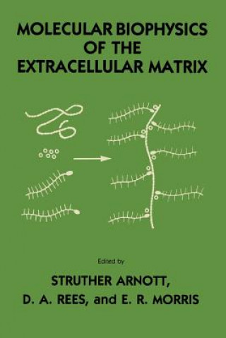 Kniha Molecular Biophysics of the Extracellular Matrix Struther Arnott