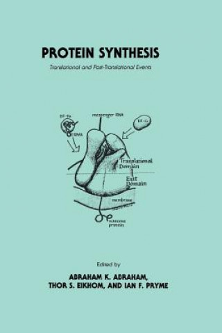 Könyv Protein Synthesis Abraham K. Abraham