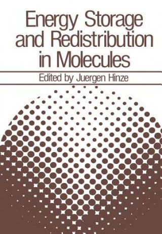 Könyv Energy Storage and Redistribution in Molecules Jürgen Hinze