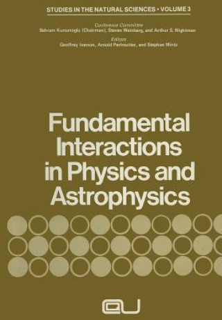 Kniha Fundamental Interactions in Physics and Astrophysics Behram Kursunoglu