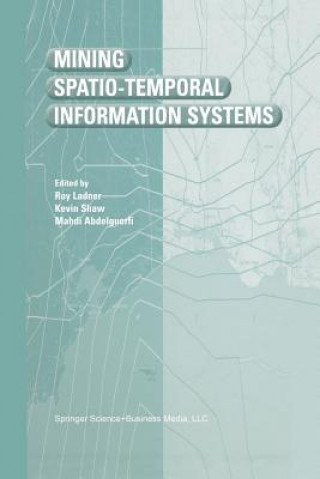 Boek Mining Spatio-Temporal Information Systems Roy Ladner