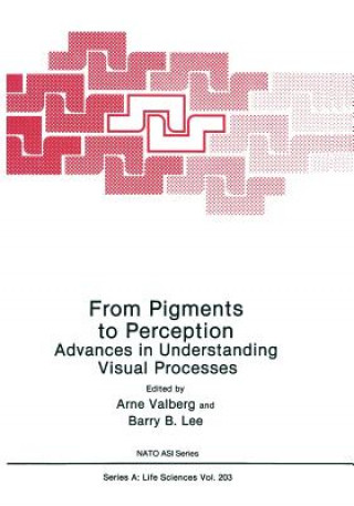 Carte From Pigments to Perception Arne Valberg