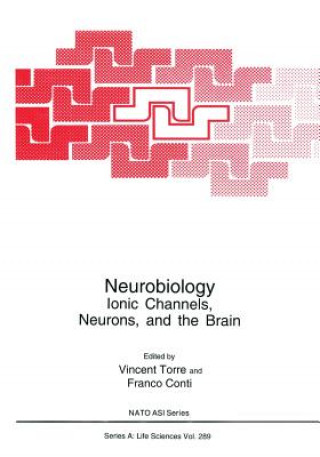 Könyv Neurobiology Franco Conti