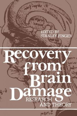 Könyv Recovery from Brain Damage Stanley Finger
