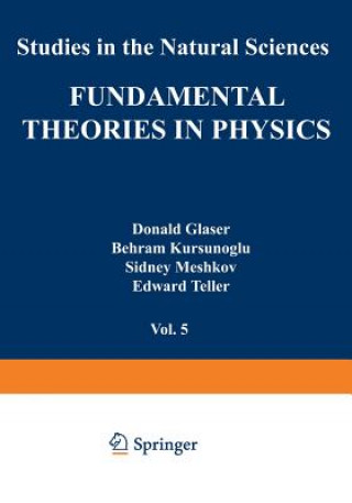 Kniha Fundamental Theories in Physics Stephan Mintz