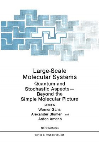 Kniha Large-Scale Molecular Systems Werner Gans