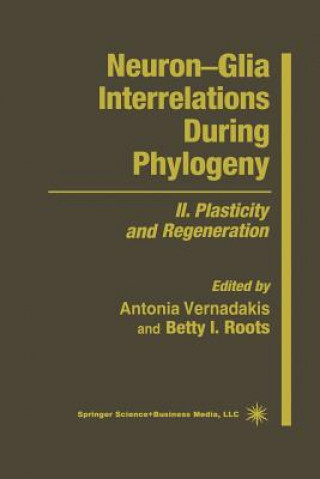 Könyv Neuron-Glia Interrelations During Phylogeny Antonia Vernadakis
