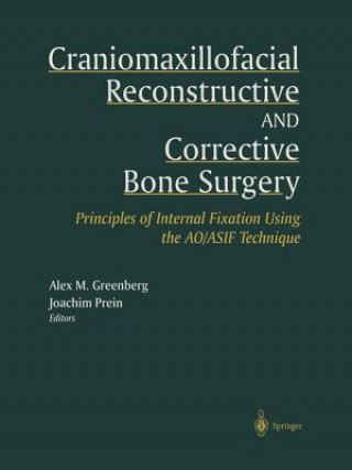 Kniha Craniomaxillofacial Reconstructive and Corrective Bone Surgery Alex M. Greenberg