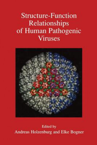 Könyv Structure-Function Relationships of Human Pathogenic Viruses Andreas Holzenburg