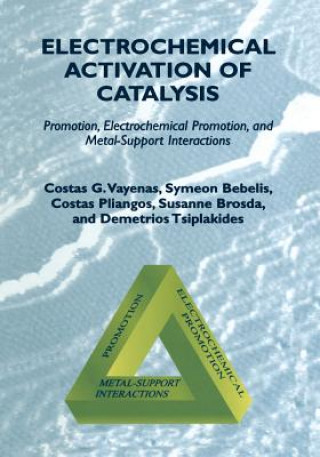 Könyv Electrochemical Activation of Catalysis Costas G. Vayenas