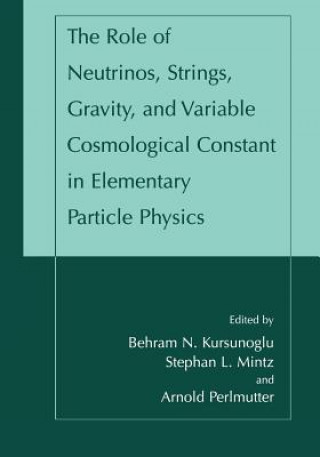 Könyv The Role of Neutrinos, Strings, Gravity, and Variable Cosmological Constant in Elementary Particle Physics Behram N. Kursunogammalu