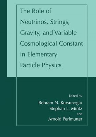 Książka The Role of Neutrinos, Strings, Gravity, and Variable Cosmological Constant in Elementary Particle Physics Behram N. Kursunogammalu